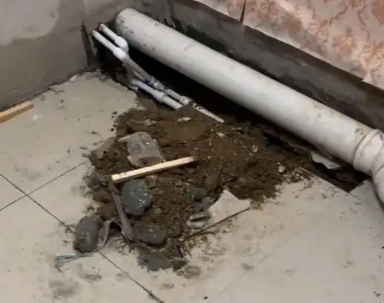 张家界市卫生间漏水检测哪家好