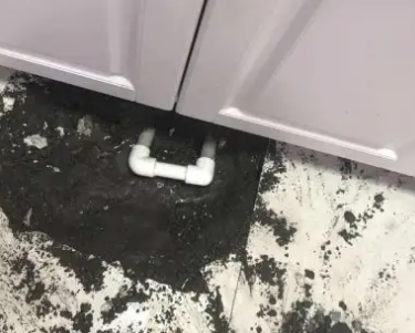 张家界市查漏水哪家好